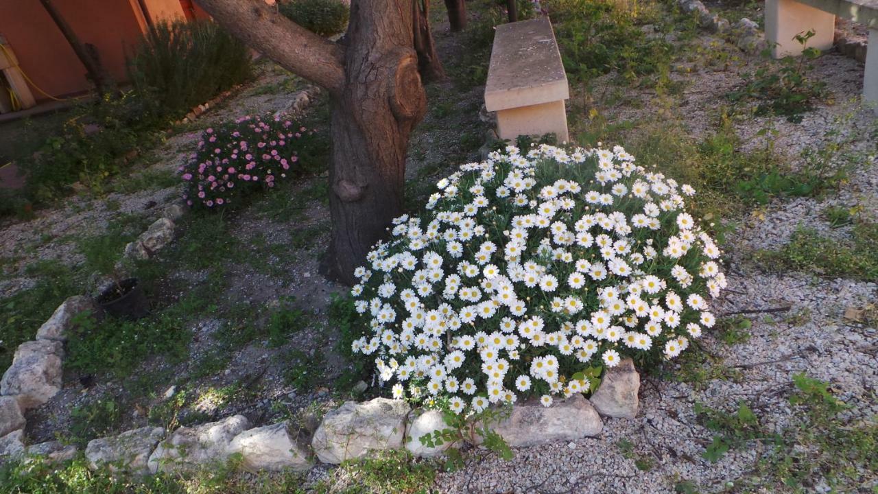 Bed and Breakfast Oasi Ottocento à Quartu SantʼElena Extérieur photo